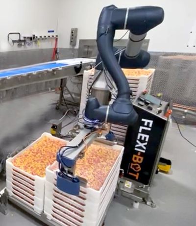 Flexi-Bot palletizing bins of medicinal gummy bears